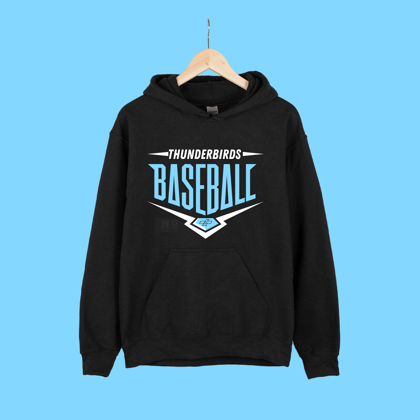Thunderbirds Baseball Hooded Sweatshirt