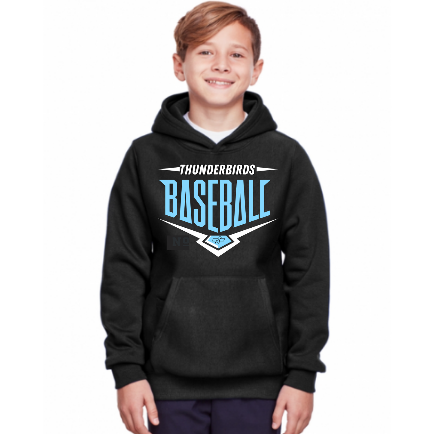 Thunderbirds Baseball Hooded Sweatshirt