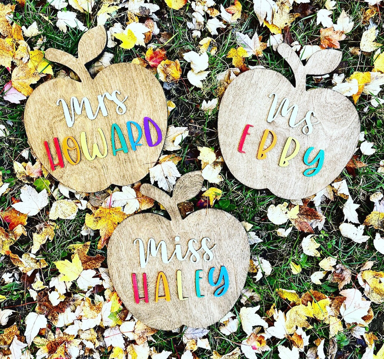 Teacher Wooden Apple